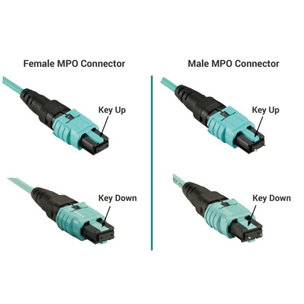 Харнес 8 волокон MPO(M)/UPC-LCD/UPC MM (G50-OM3) Type-B, 1м - Зображення 2