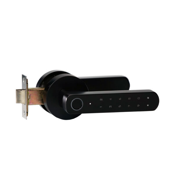 Замок біометричний автономний Trinix TRL-5205BTF Tuya Black з Bluetooth і зчитувачем відбитків пальців - Зображення 2