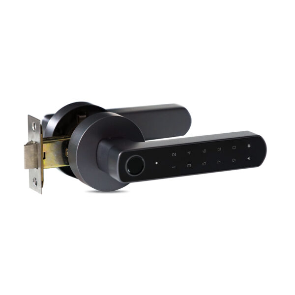 Замок біометричний автономний Trinix TRL-5205BTF Tuya Grey з Bluetooth і зчитувачем відбитків пальців - Зображення 2