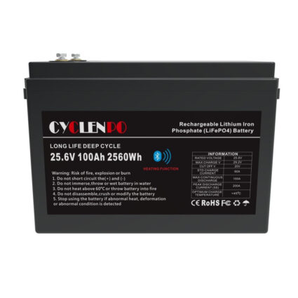 Акумуляторна батарея літій-залізо-фосфатна 25.6В 100Аг Cyclen 25.6V 100AH LiFePo4 (підігрів/Bluetooth) - Зображення 2