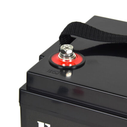 Акумулятор LiFePO4 літій залізо фосфатний 12.8В 100А·год з Bluetooth Full Energy FEG-12100-1 — изображение 2