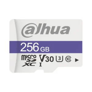 Dahua DHI-TF-C100/256GB Карта пам'яті microSD