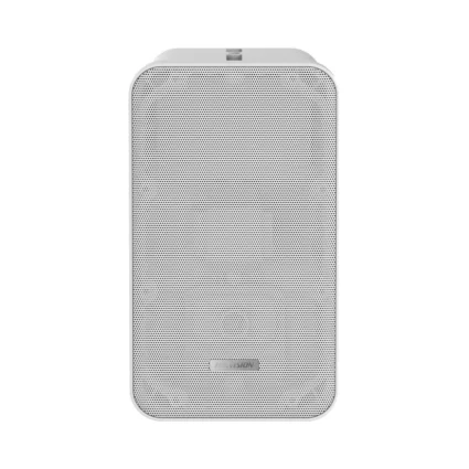 Hikvision DS-QAE0420G1-V Аналоговий динамік