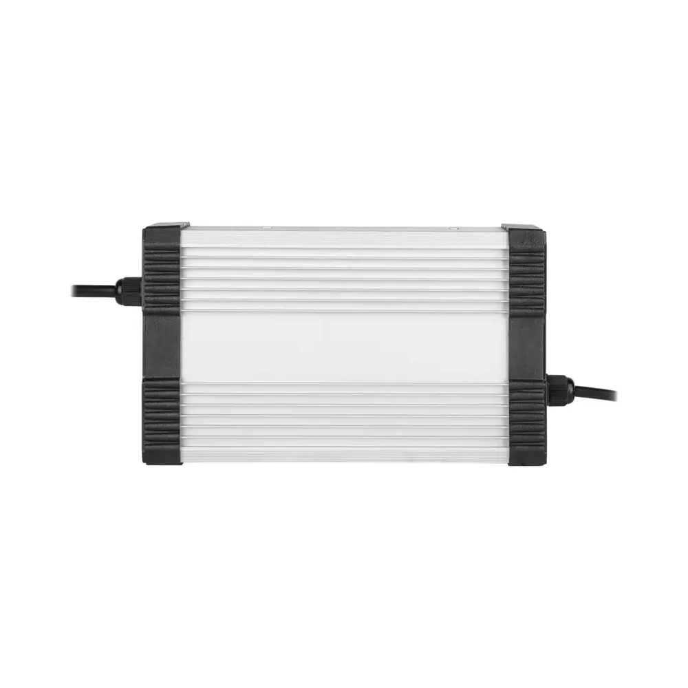 19304_1 Зарядний пристрій для акумуляторів LiFePO4 48V (58.4V)-8A-384W-C13