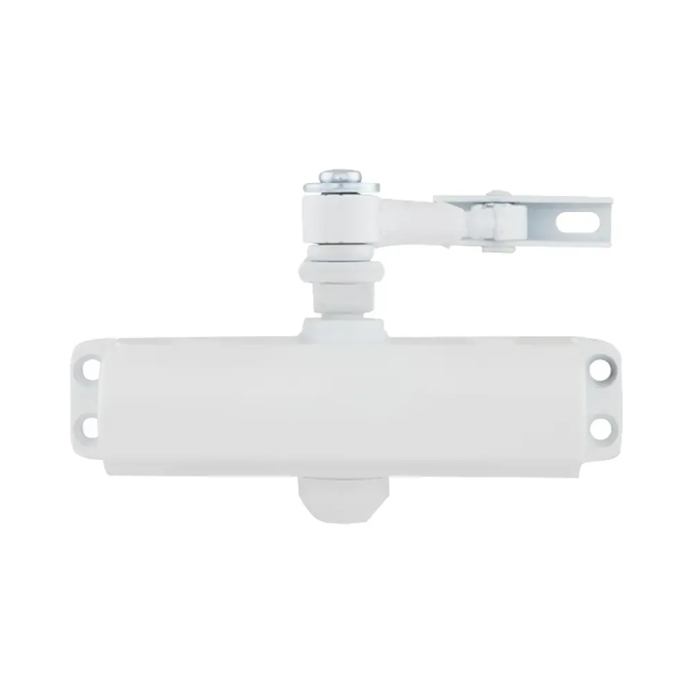 RYOBI *9900 9903 GLOSSY_WHITE Дотягувач Ryobi 29253 RYOBI *9900 9903 GLOSSY_WHITE Дотягувач