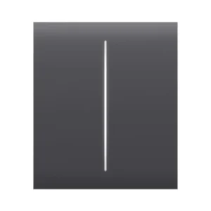 Ajax CenterButton (2-gang) [55] graphite Кнопка центральна для двоклавішного вимикача