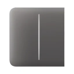 Ajax SideButton (2-gang) [55] grey Кнопка