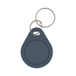 Ключ Proxymity-key EM GRAY